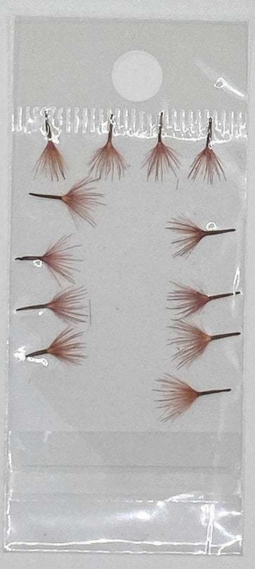 Dried flowers 3 Pzl Nails