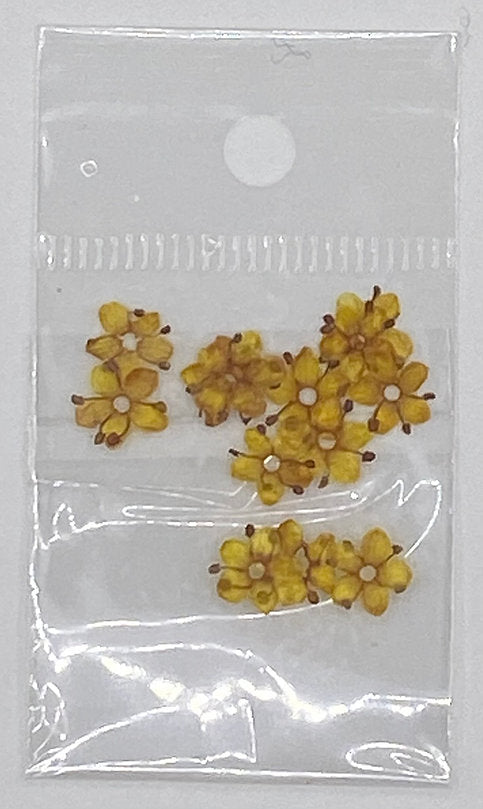 Dried flowers classic Pzl Nails