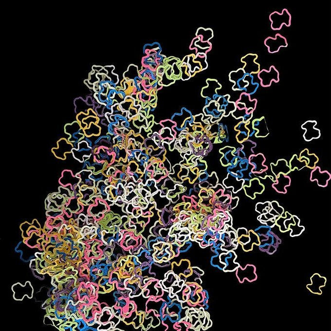 Bear Shapes Pzl Nails