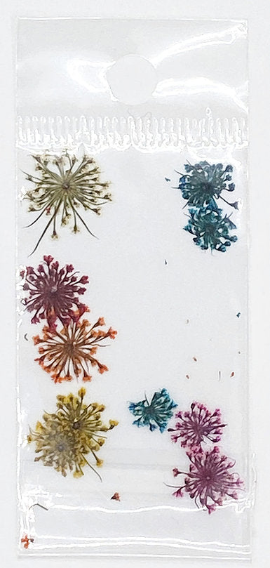 Dried flowers 4 Pzl Nails