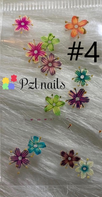 Dried Flowers Colorful Pzl Nails