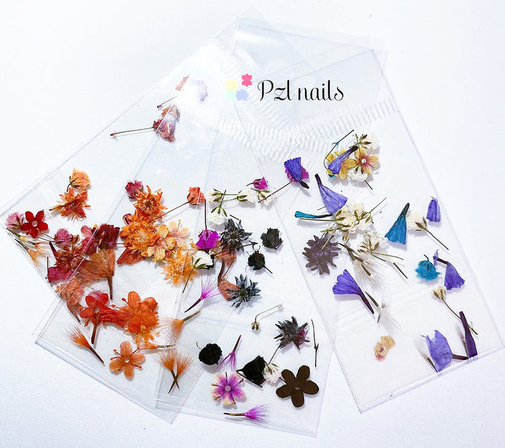 Dried Flowers Colorful Pzl Nails